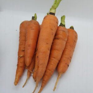 Carrots