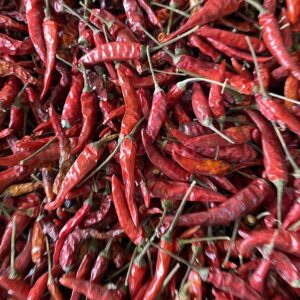 Dried Chili